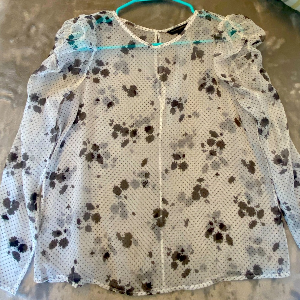 Banana Republic Sheer Long Sleeve Top